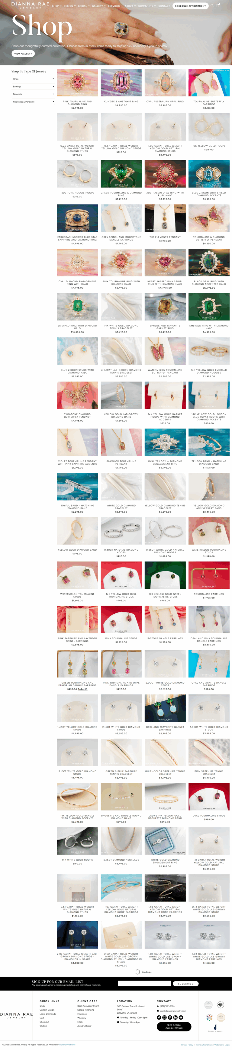 Shop Page With Custom Filters
