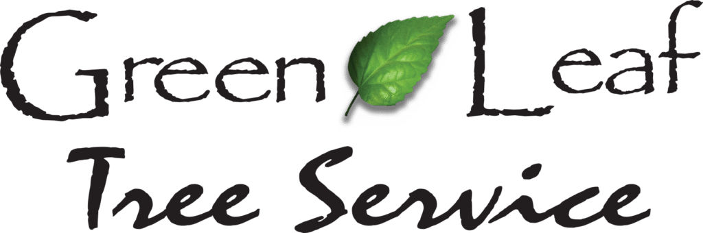 green leaf web logo 1024x340 1 | Vibrandt Websites | Lafayette, LA