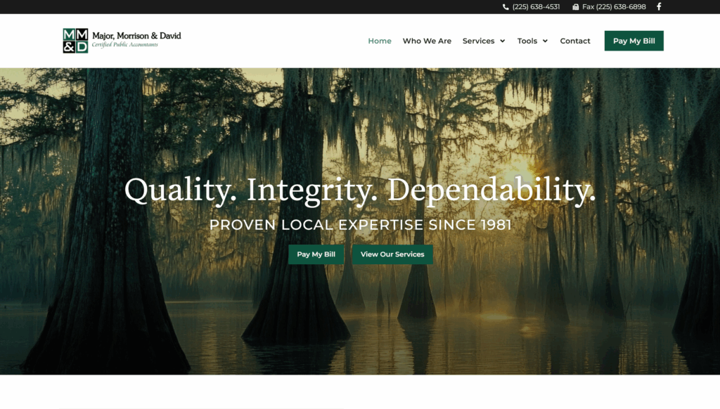 Screenshot 2025 07 25 105345 | Vibrandt Websites | Lafayette, LA