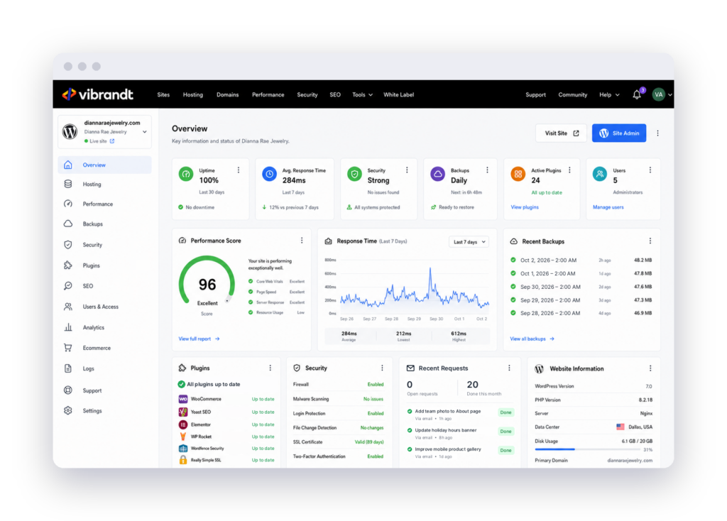 hosting dashboard browser mockup 2 | Vibrandt Websites | Lafayette, LA